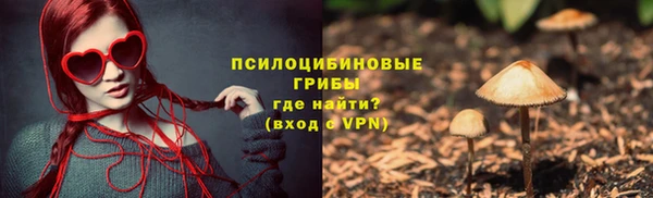 дурь Балахна